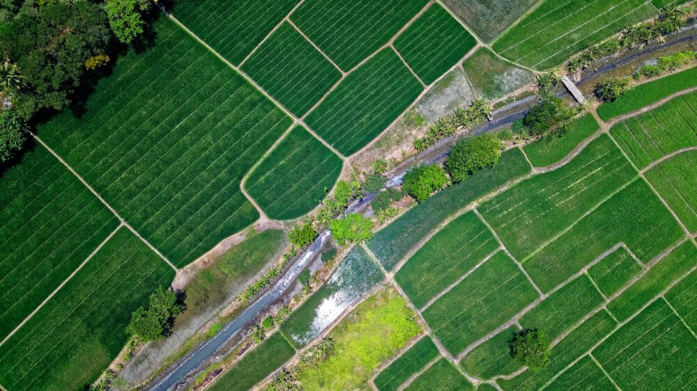 Farm Auctions, Farms for sale