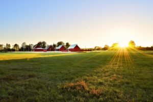 Land sale; land auctions