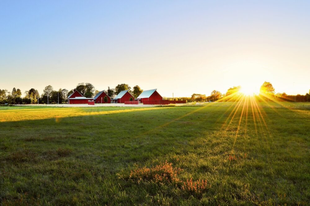 Land sale; land auctions